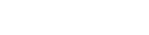 Logo Pheidi